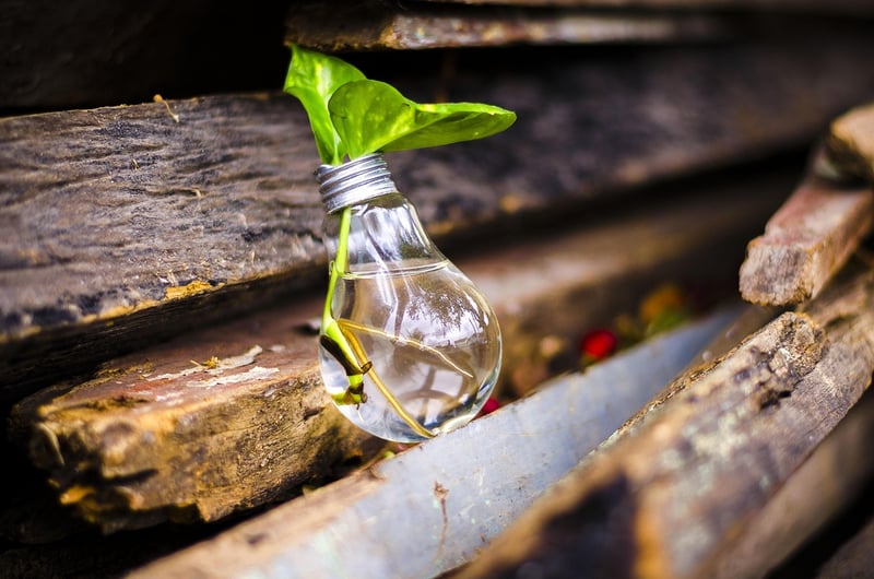 Upcycling Community